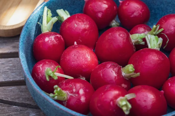 A bowl with fresh radishes