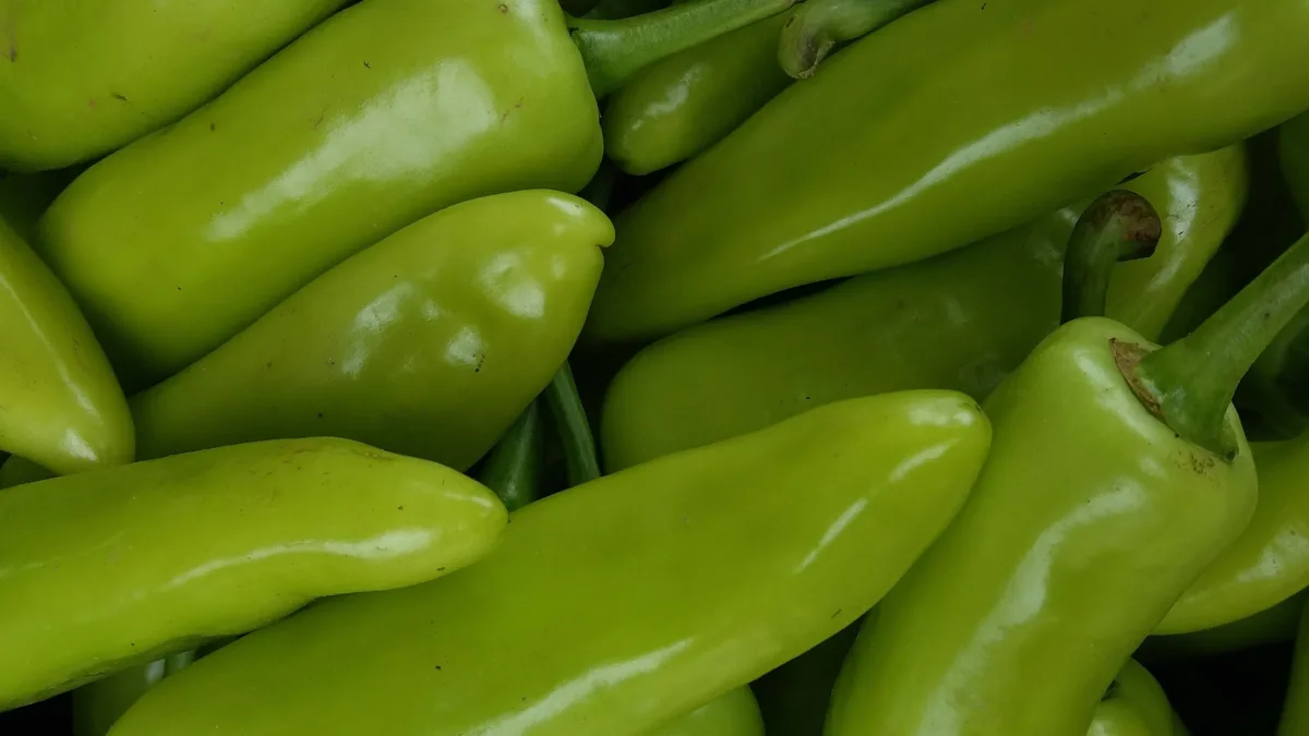 Green jalapeno peppers